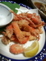 2008.9.9������Ȥ�