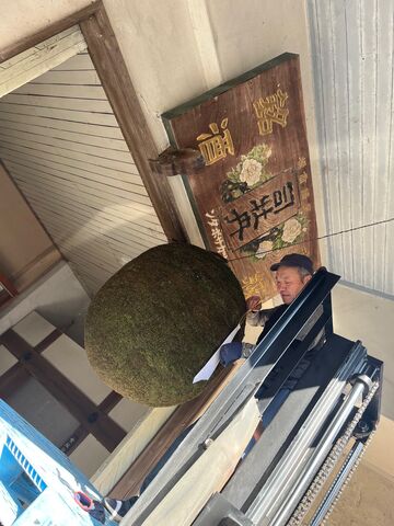 �̿�1  ���Ӥ���̤��ߤ뤹