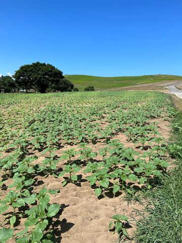 �̿�9  �Ҥ������͸���