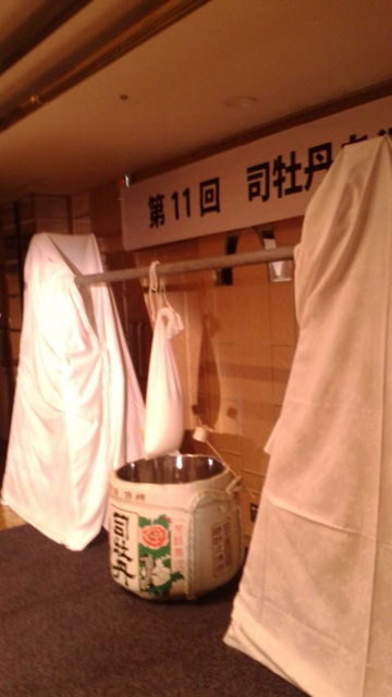 (19)���ߤ꺣����о졪