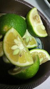 直七