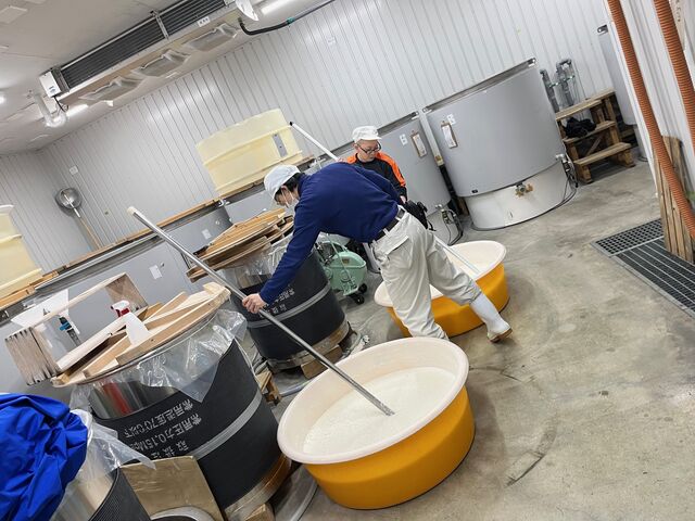 �̿�8  ������