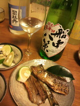 船中ひやおろしとウルメとマグロ