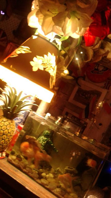 (29)「Missy Ho's」店内2