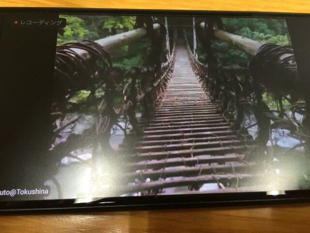 写真1 祖谷のかずら橋