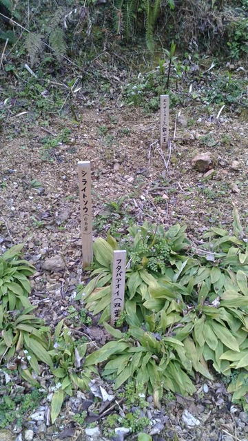 (12)����������POP