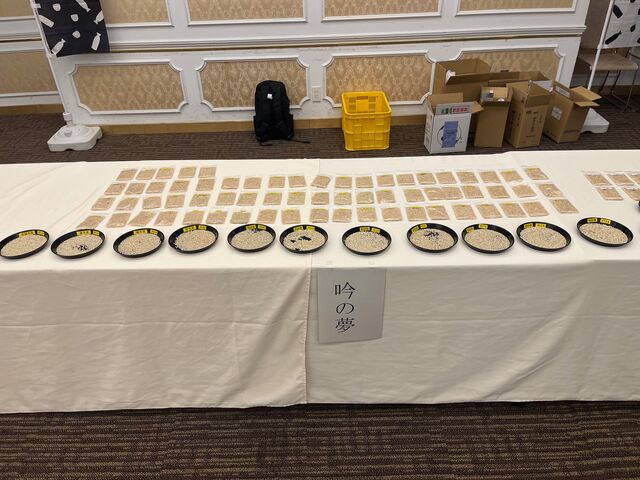 2026.2.3�̿�2  ���̴