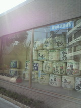 高知県酒造組合ウインドウディスプレイ