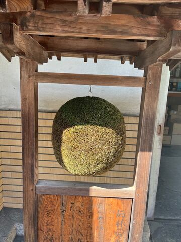 �̿�4  ���̥��å�