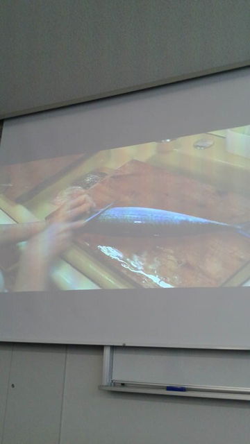 (11)�����ʥӥǥ�3