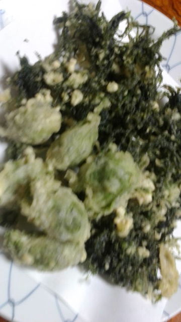 (13)եΥȥŷפΥŷפ