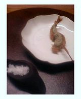 六雁・Kushi揚げ・稚鮎