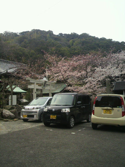 (4)����ξ��ߡ׼��դκ�
