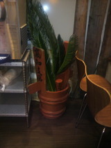 �ʲ�ð��î�ǥ����ץ쥤