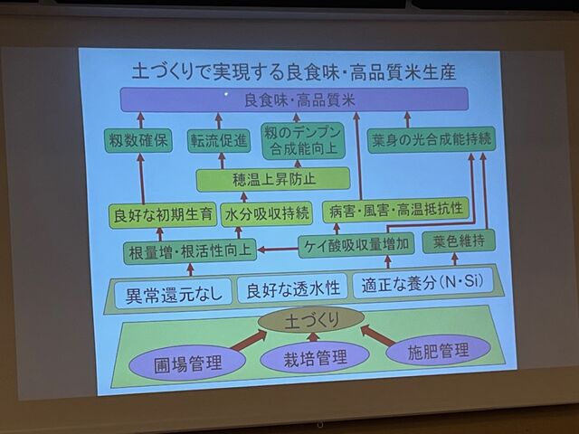 �̿�30  ���ʼ�������