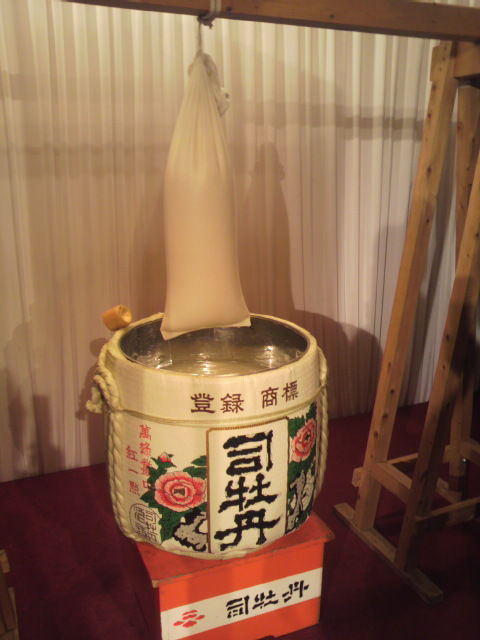 21���ߤ꺣���