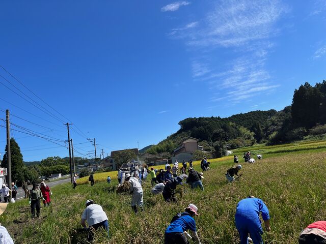 2023.10.5写真7 稲刈り風景