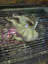 �ޤ뤴�ȾƤ�������