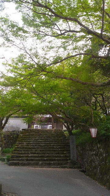 (15)�ĸ����ο���