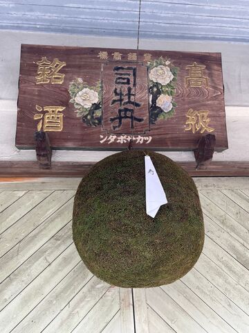 �̿�2  ���ӡ���