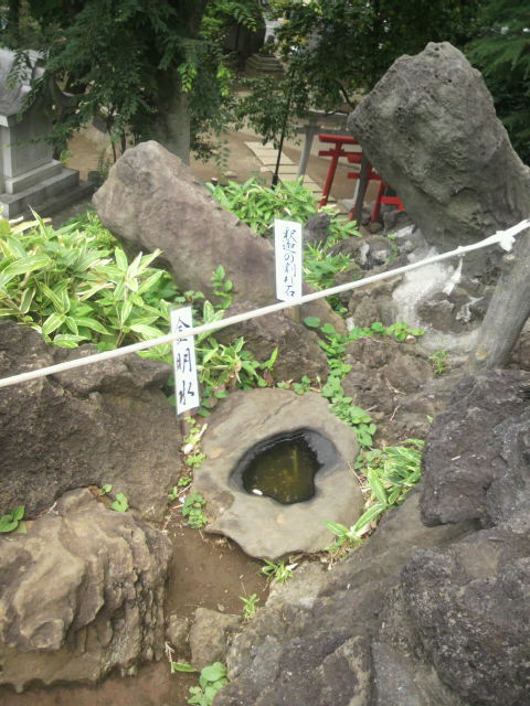 (5)���γ����