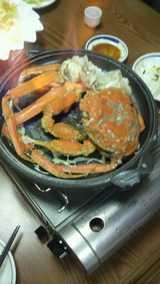 ���ˤΥ���������