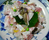 ŷ����������