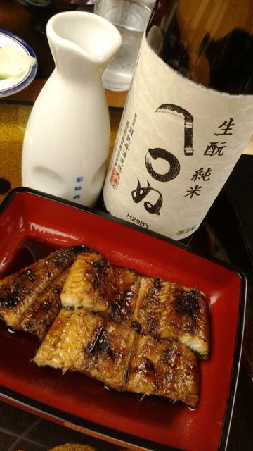 (22)�֤��ޤ�̡���ȱ��γ��Ƥ�