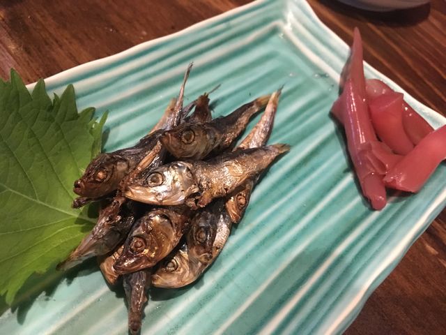 �̿�6 �ҥ饴��ʪ