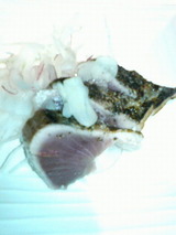 2009.7.6カツオの塩タタキ
