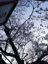 �ܤ�ܤ�Ⱥ�2
