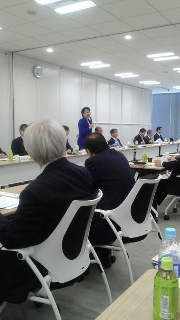 (14)ͭ¼����