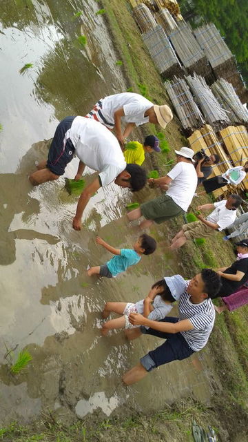 (5)�Ŀ�����������