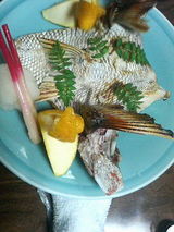 鯛のカマの塩焼き