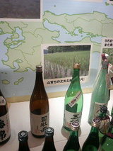 �Ƥ����Ƥ����Ƽ�2