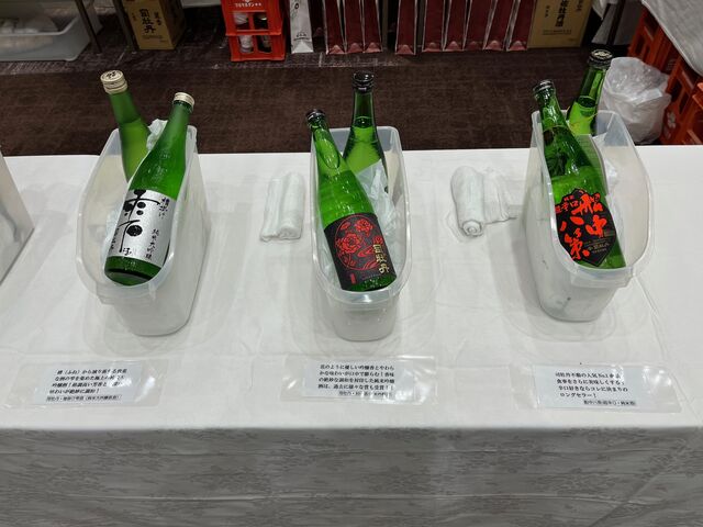 �̿�8  ̾������