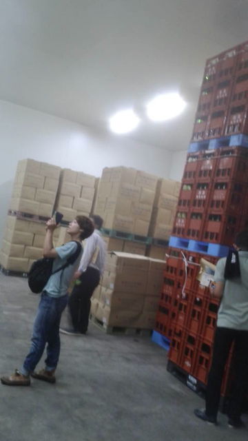 (2)¢��������2