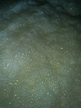 ��ö��ˤ���ȯ����2