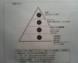 ²Ö²¦¥¦¥§¥¤