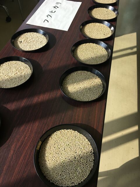 �̿�9 �ե��ҥ���