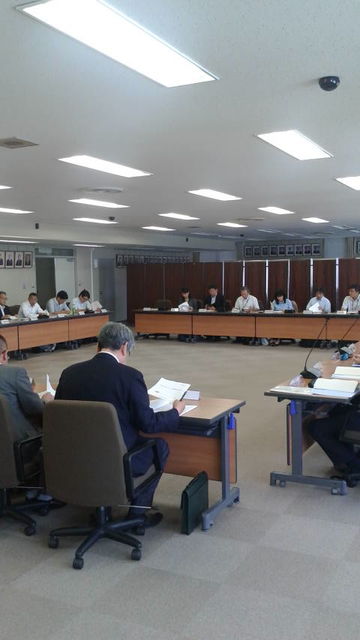 17(1)����ľ��