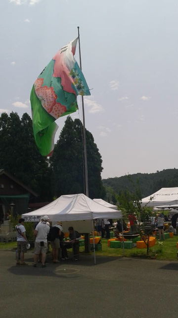 (11)��ή�����