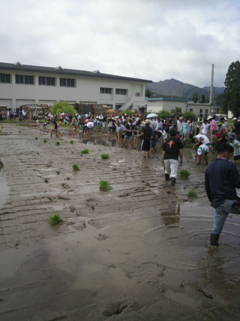 11�Ŀ�����������