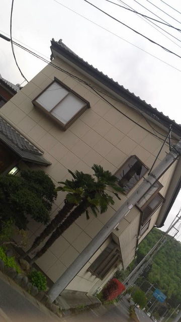 (1)�ְ�鲡׷�ʪ