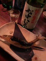 船中ひやおろしと落ち鮎