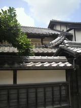 2012.8.2竹村本家.jpg