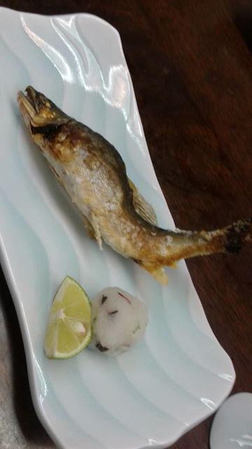 (7)���α��Ƥ�