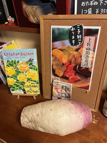 �̿�14  �������纬