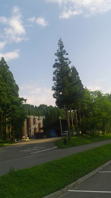 (27)�㼼����