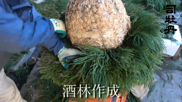 �̿����������ӤŤ���